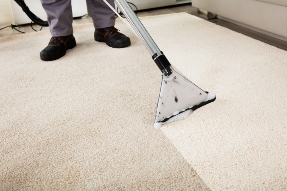 How To Clean Jute Rugs Step By, How Do You Deep Clean A Jute Rug