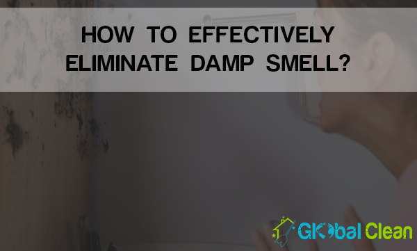 Effectively Eliminate Damp Smell?