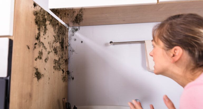 How To Effectively Eliminate Damp Smell Global Clean