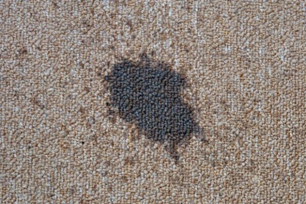 global-clean-how-to-remove-oil-stain-from-carpet