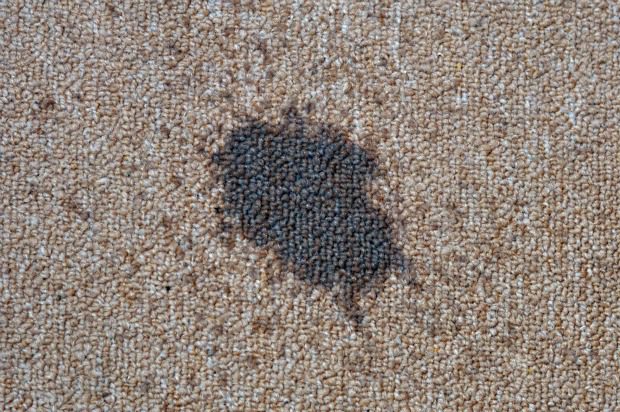 How to remove oil stain from carpet?