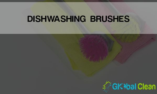 Top 5 dishwashing brushes of all time