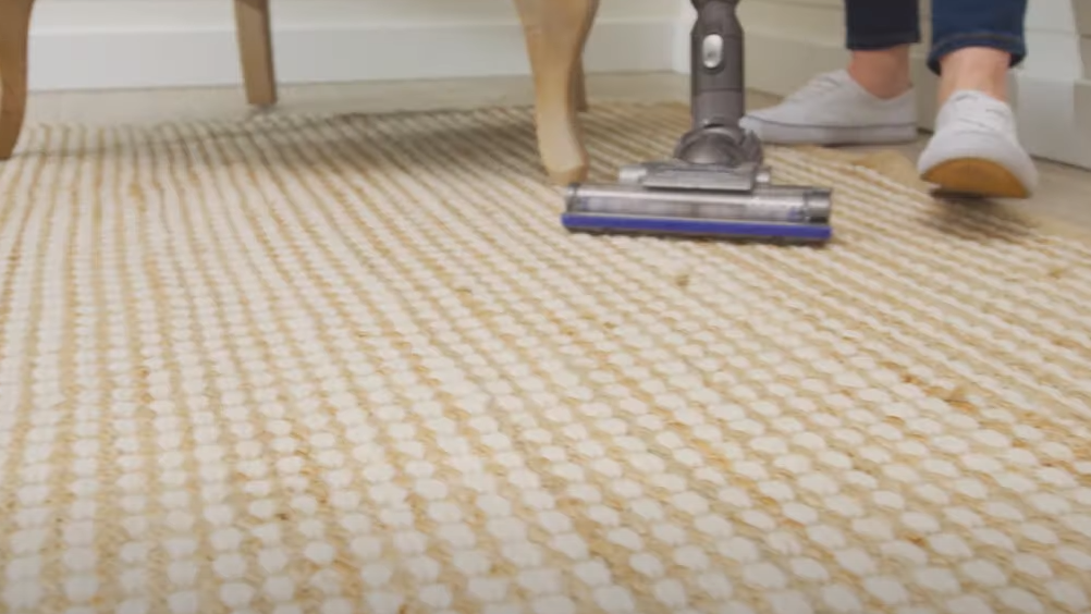 How To Dry Clean Carpet At Home  How to Clean Sisal Carpet 