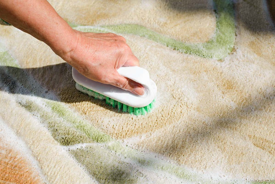 brush your rug without vacuum