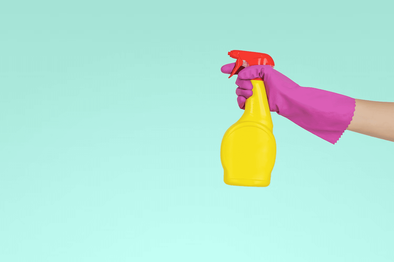 Cleaning bottle