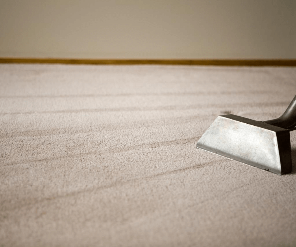 carpet steam cleaning