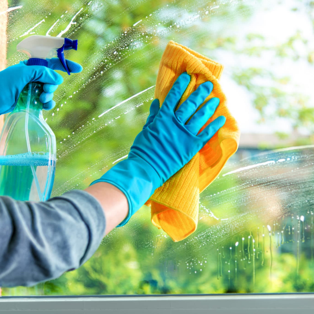 Top 10 window Cleaning Services