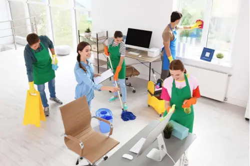 regular domestic cleaning