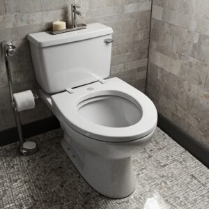  beautifully clean and sparkling toilet bowl 